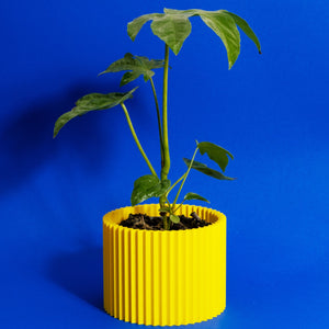 Acid 3D Printed Plant Holder