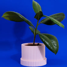 Load image into Gallery viewer, Cloud 3D Printed Plant Holder