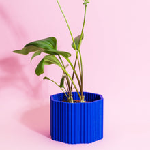 Load image into Gallery viewer, Wave 3D Printed Plant Holder