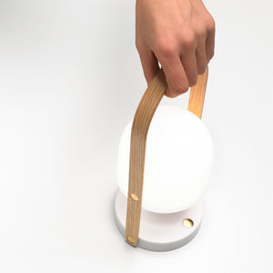 FollowMe Portable Light
