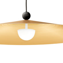 Load image into Gallery viewer, Pia Pendant Light