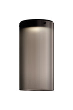 Load image into Gallery viewer, Giass Ceiling Lamp