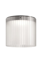 Load image into Gallery viewer, Giass Ceiling Lamp