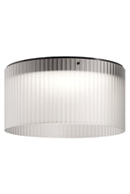 Load image into Gallery viewer, Giass Ceiling Lamp
