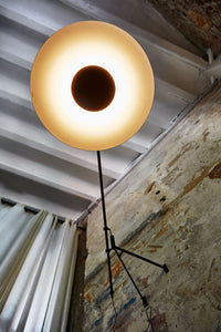 Ginger Wall Light With Arm