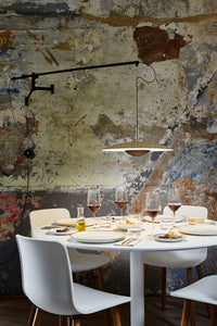 Ginger Wall Light With Arm