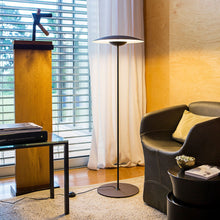 Load image into Gallery viewer, Ginger Floor Light