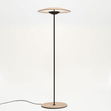 Load image into Gallery viewer, Ginger Floor Light