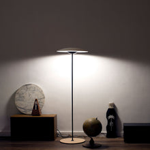 Load image into Gallery viewer, Ginger Floor Light