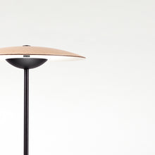 Load image into Gallery viewer, Ginger Table Lamp