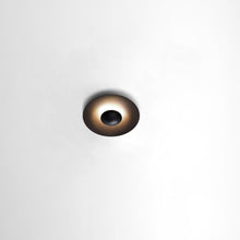 Load image into Gallery viewer, Ginger Ceiling Light