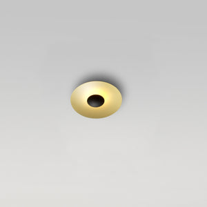 Ginger Ceiling Light