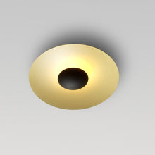 Load image into Gallery viewer, Ginger Ceiling Light