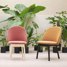 Load image into Gallery viewer, Iola Chair Ash Legs