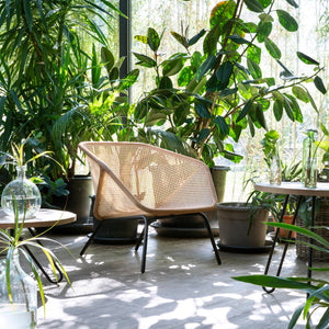 Colony Armchair