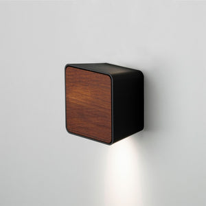 Square Lab Outdoor Wall Light