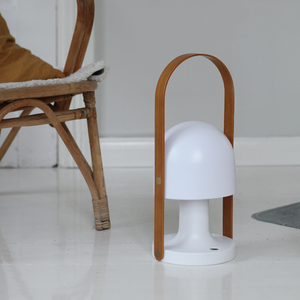 FollowMe Plus Portable Light