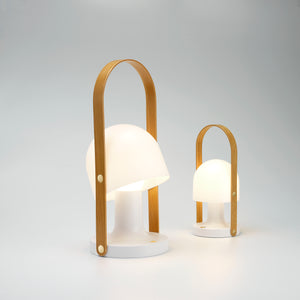 FollowMe Portable Light