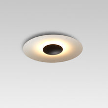 Load image into Gallery viewer, Ginger Ceiling Light