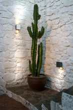 Load image into Gallery viewer, Square Lab Outdoor Wall Light