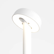 Load image into Gallery viewer, NOD Table Lamp