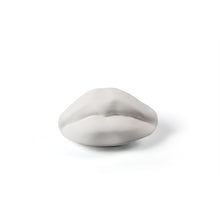 Load image into Gallery viewer, Memorabilia Museum Mouth Ornament