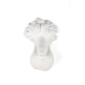 Memorabilia Museum Male Body Part Ornament