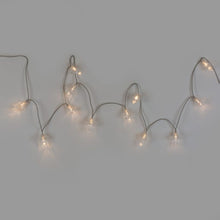 Load image into Gallery viewer, Floralia Glass Flower Led String Lights
