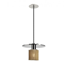 Load image into Gallery viewer, In The Sun Pendant Light
