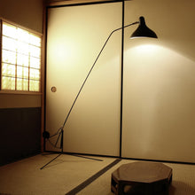 Load image into Gallery viewer, Mantis BS1 Floor Lamp