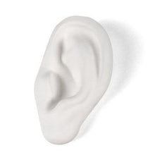 Load image into Gallery viewer, Memorabilia Museum Ear Ornament