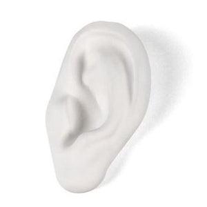 Memorabilia Museum Ear Ornament