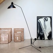 Load image into Gallery viewer, Mantis BS1 Floor Lamp