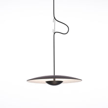 Load image into Gallery viewer, Ginger Wood Pendant Light
