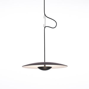 Ginger Wood Pendant Light