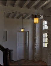 Load image into Gallery viewer, In The Sun Pendant Light