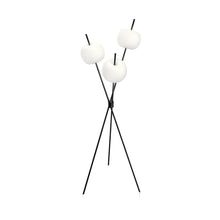 Load image into Gallery viewer, Kushi Floor Lamp