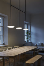 Load image into Gallery viewer, Ihana Pendant Light