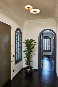 Ginger Ceiling Light