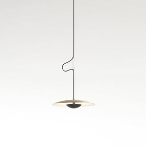 Ginger Metal LED Pendant Light