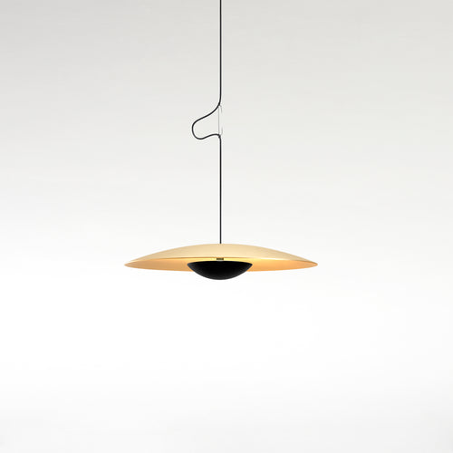 Ginger Metal LED Pendant Light