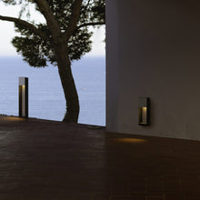 Load image into Gallery viewer, Lab Outdoor Wall Light