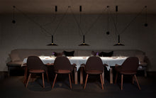 Load image into Gallery viewer, Milana Counterweight Pendant Light