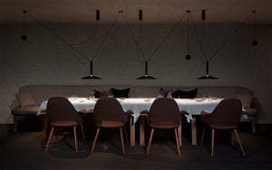 Milana Counterweight Pendant Light