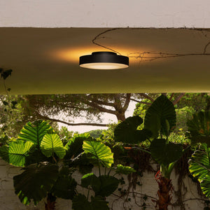 Plaff-On Indoor & Outdoor Ceiling Light