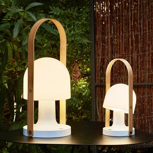 FollowMe Plus Portable Light