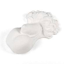 Load image into Gallery viewer, Memorabilia Museum Male Body Part Ornament