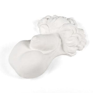 Memorabilia Museum Male Body Part Ornament