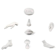 Load image into Gallery viewer, Memorabilia Museum Ear Ornament