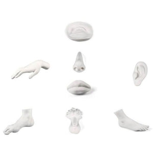 Memorabilia Museum Ear Ornament